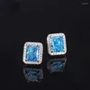أقراط مسمار S925 Silver Female 8 10 Radiant Cut Trend Massion Jewelry 5A Zircon Factory Sales Direct