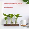 VASE PLANTS PROPAGATION STATIONS GLASE VASE STATION RETRO PLANT TERRARIUM WHODE WOODED TRAY BULB FLOWER HOME OFFIRER