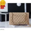 Cc Classic Woc 19 Handbag Quilted Tote Women Men Designer Shoulder Bags Flap Golden Metal Letter Clutch Bags Genuine Leather Crossbody Wallets Duffle Bag