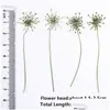 Decorative Flowers & Wreaths 100Pcs Pressed White Lace Flowers With Stem Nature Real Flower For Diy Wedding Invitation Art Bookmark Gi Dhlgn