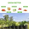 7/5/4/3 Gallon Grow Bags Felt Planter Growing Gardening Vegetable Potatoes Flower Plant Fabric Flower Planting Pots Garden Tools 240304