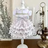 Cão vestuário coreano rosa branco algodão pelúcia roupas para animais de estimação chihuahua moda flor arco festa de casamento vestido de princesa para pequenos cães médios