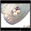 Pearl Loose Beads Jewelry Drop Delivery 2021 Partihandel färgade naturliga pärlor inuti fest i BK Öppna hemma ostron med vakuumpaket Dhyvg