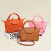 Winkel crossbody tas goedkoop export mini modieus en nieuwe knoedel nylon waterdichte lichtgewicht handheld dames veelzijdige één schouder