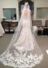 2017 Tulle Lace Wedding Veils with Lace Long Appliqued Netting Bridal Veils with Long Veils4608119