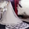 Stock blanc ivoire dentelle bord voiles cathédrale longueur Mariage Voile De mariée 1 niveau Long Voile Mariage Tulle Veu De Noiva CPA2