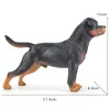 Anime Manga Simulation Solide Grand Rottweiler Modèle Jouet Animal Animal de Compagnie Chien de Police Ornements Faits À La Main pour Garçons et Enfants Figure Modèle J240308