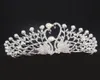 تاج Tiaras Headed Crown Headpoins for Wedding Headpelses for Bride Dress Lexdress Accessories Wedding Acces3257576