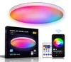 Modern Smart Led Ceiling Lights 30W Wifi Bluetooth 24G RGBCCW Colors Change For Living Room Decoration Motion1227699