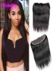 Indian Virgin Hair Lace Frontal 13x4 Closure Straight Hair1224inch Lace Frontal Hair Products Top Closures2936660