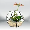 Bottles Geometric Terrarium Planter Shelves Bonsai Container For Fern Air Plants Tabletop Decor Gift