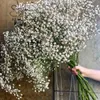 100 g naturligt torkad gipsophila blomma baby andningsbuketter blommor gipsfila grenar för heminredning bröllop girland dekoration 240301