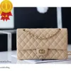 Cc Classic Woc 19 Handbag Quilted Tote Women Men Designer Shoulder Bags Flap Golden Metal Letter Clutch Bags Genuine Leather Crossbody Wallets Duffle Bag