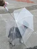 ポータブル犬の傘wth long Comfortハンドル透明なPE傘エコフレンドリーペットレインコート9 2JN Y4102978