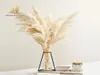 Pampas Grass Decor White Color Fluffy Natural Dried Flowers Bleached Bouquet Boho Vintage Style for Wedding Home Christmas Decor 27300362