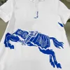 Klasyki Dziewczęta Dostyki Dziecko Orskurt Ubrania dziecięce Summer T-shirt Rozmiar 100-160 cm Knight Wzorka T-koszulka i plisowana spódnica 24MAR