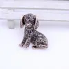 Brosches tangtang mode hund brosch härlig design strass labrador smycken stift retro antik guld/rodium pläterad bijoux