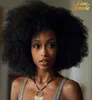 Brazylijskie kręcone dziewicze Kinky Curly Virgin Hair 3pcs 820 cali ludzkie włosy przedłużenie ciasne afro perwersyjne splot włosów 2586490