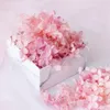 20g Preserved Dried Pressed Flower Colorfast Exquisite Natural Realistic DIY Hydrangea Heads Arrangement Wedding Decor 240223
