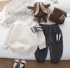 Ensembles de vêtements pour petits garçons avec oreilles de lapin stéréo, sweat-shirt brodé avec lettres brodées, pantalons décontractés, 2 pièces, printemps 2024, tenues de sport pour enfants Z7034