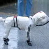 Hund regnrock hundkläder transparent regnrock lätt vattentät kappa för hundar husdjur kappa små hundar katt chihuahua teddy jumpsuit 240307