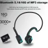 TWS Bluetooth 5.1 Earphones WIth Mic Wireless Headphones HiFi Stereo Ear Hook Earbuds Noise Reduction Sports Swimming Headsets