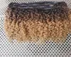 Wholes البرازيلية البشرية vrgin remy الشعر ملحقات مقطع في jinky curly نمط طبيعي بلاك برونبلوند Ombre color4074332