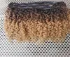 Kinky Curly 스타일의 천연 Blackbrownblonde Ombre Color4074332의 도미 브라질 브라질 인간 머리 vrgin remy 헤어 확장 클립