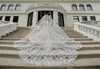 Luxury Appliqued Cathedral Length Bridal Veils 3m Long Vestido De Noiva Longo Wedding Veil Ivory White Champagne Veil With Comb8029773