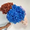 1520CM HeadLong 35CMReal Natural Dried Preserved Hydrangea Flower Branch With PoleEternal Rose Dry Hydrangeas For Home 240223