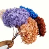 1520CM HeadLong 35CMReal Natural Dried Preserved Hydrangea Flower Branch With PoleEternal Rose Dry Hydrangeas For Home 240223