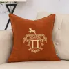 Simples travesseiro moda clássico almofada têxteis para casa sofá do carro fronha decorativa luxurys marca almofadas sala de estar travesseiros de lã