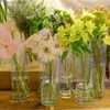 Vaser 12 Pack Tall Clear Glass Cylinder Vases Floating Candle Sell Centerpiece Table Vases Wedding Decorations Freight Free Vase Home L240309