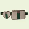 Fashion waist bag Women's zero purse Classic style design 2-piece leisure bag2363