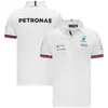 Polos pour hommes Été F1 Racing Team Auto Polo Shirt Revers Motorsport Hommes Séchage rapide Respirant T-shirt décontracté