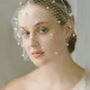 Femmes élégantes Mesh Veil Band Bridal Wedding Hair Accessories Prom Tea Party Party Veil Veil Fascinator Hats 2422