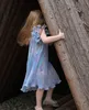 Çocuk Giyim 2024 Kız Prenses Elbise Bahar Yaz Moda Kız Kolsuz Dantel Kore tarzı Şifon 240223