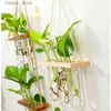 Jarrones Ins Florero de cristal para colgar en la pared con soporte de tubo de ensayo de madera para propagación de plantas hidropónicas, contenedor de terrario L240309