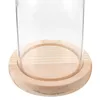 Lagringsflaskor Glas Evigt blommatäcke Damm Transparent Micro Landscape Display Desktop Ornament (8 12 Column Log Flat Bottom) Dome Case