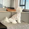 Vestuário para cães chihuahua roupas gato saia roupas de verão cachorrinho yorkie pomeranian shih tzu maltese pet traje vestidos