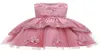 Girl039s robe de mariage pour filles | Robe Tutu formelle pour adolescentes de 3 4 6 8 10 ans, vêtements de fête pour enfants, 09225736691