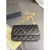 Designer All-in-one Bag for Women Trendy New Lamb Lingge Golden Autumn Chain Bag Single Shoulder Crossbody Women