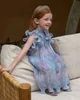 Çocuk Giyim 2024 Kız Prenses Elbise Bahar Yaz Moda Kız Kolsuz Dantel Kore tarzı Şifon 240223