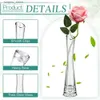 Vases Vase 72 Pcs Clear Tall Glass Bud Vases Bulk Single Stem Flower Glass Vase Skinny Decorative Cylinder Vases for Centerpieces Home L240309