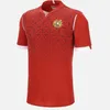 2024 Armenia soccer jerseys 22 24 adults home match jersey training uniform Men football shirts technical sportswear