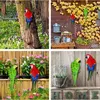 Décorations de jardin Parrot Figurine Mur suspendu décoration Animal Sculpture Home Office Decoration Garden Decoration Convient aux arbres de jardin en plein air.T240309