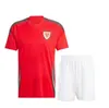 2024 25 Wales Soccer Jerseys Bale Wilson Allen Ramsey World National Team Cup Rodon Vokes Home Football Shirt Short Sleeve Adult Uniforms Fans Player -versie