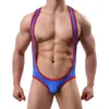 Calzoncillos sexy ropa interior para hombres cueca gay masculino bulto bolsa suave sólido nalga transpirable ropa interior hombre