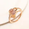 Luxe kubieke zirkonia ring Rose Gold vergulde lock Charms ring voor vrouwen vintage vingerring bruiloft feest bruid kostuum sieraden303p