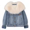 Fox Collar Denim Fur Coat For Women's 2023 Winter New Style Overcoming Coat, Young Goose Down Inner Lining 171193